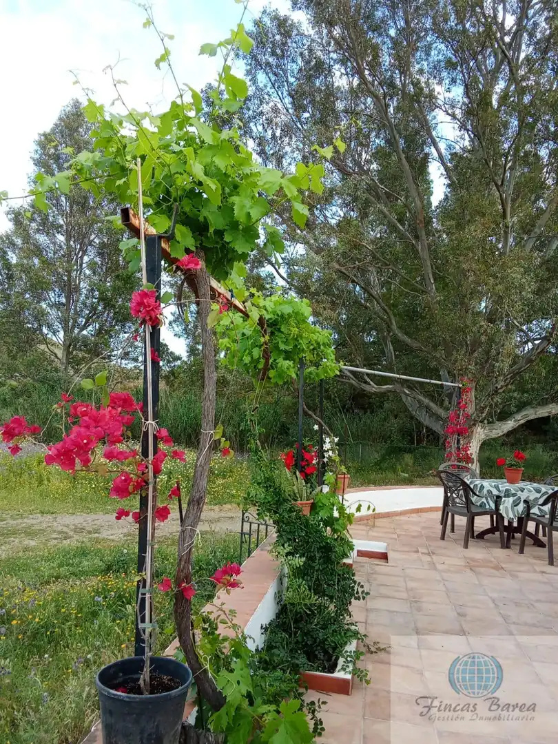 Terrace of Country homes for sale in Mijas