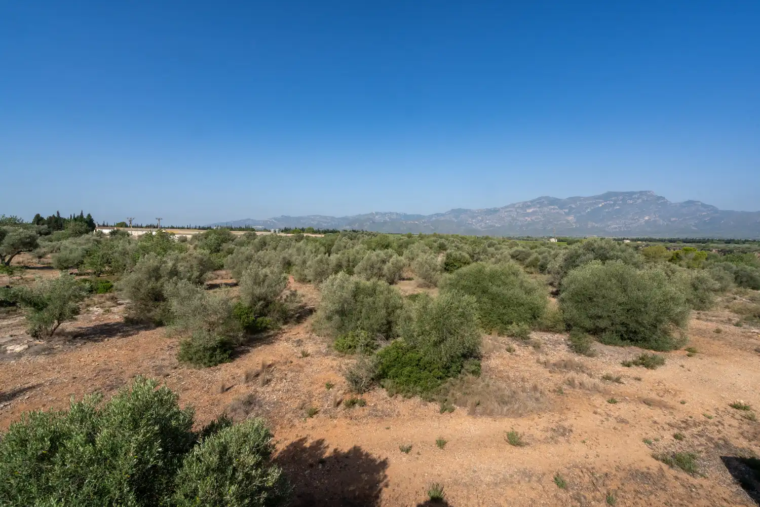 Rural land for sale in Vinallop, imagen 16