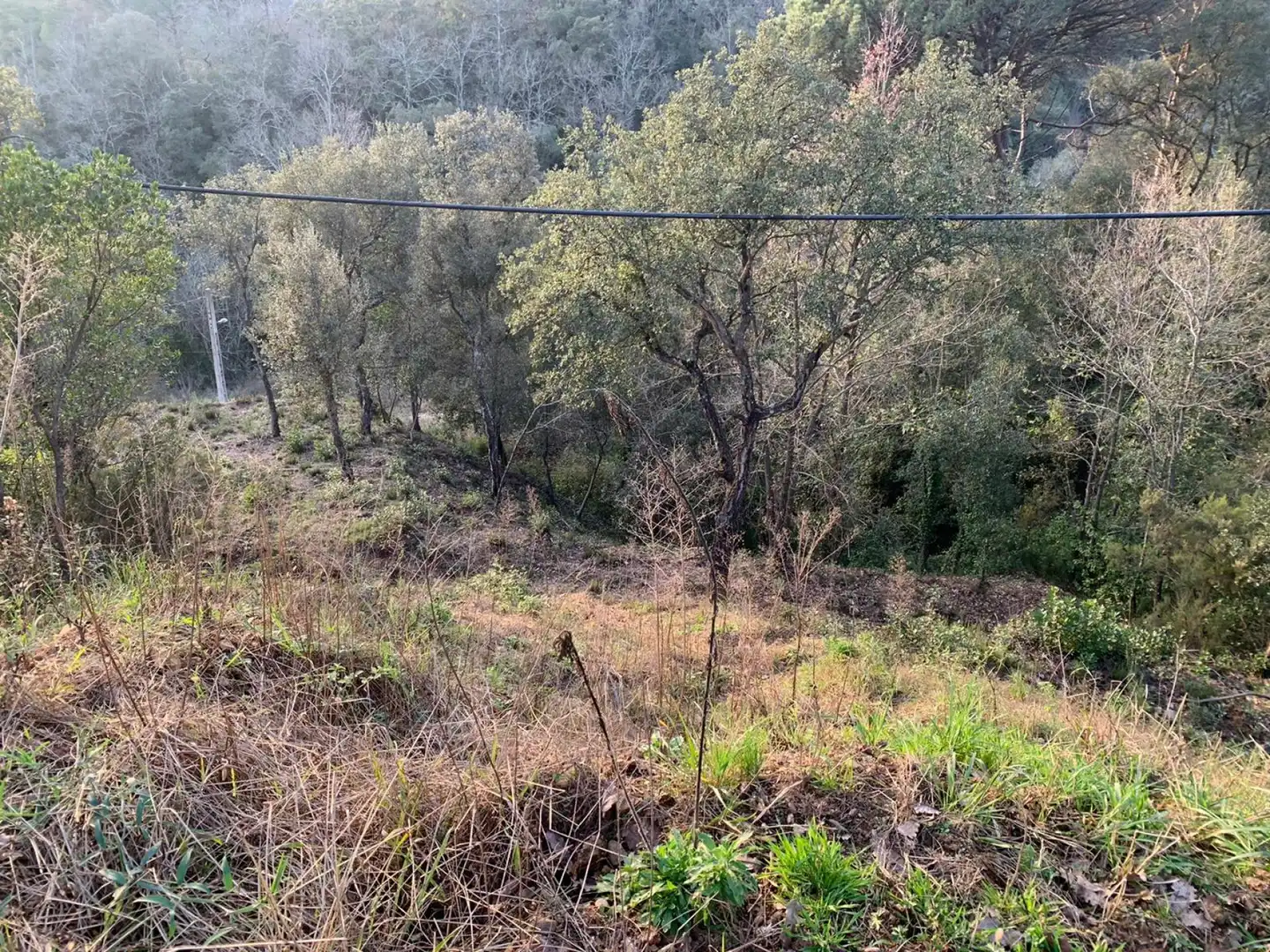 Terreny residencial en venda a Riells i Viabrea, imagen 4