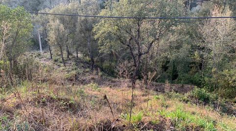 PARCELA CON FANTÁSTICAS VISTAS AL MONTSENY EN VENTA A RIELLS I VIABREA., imatge 4