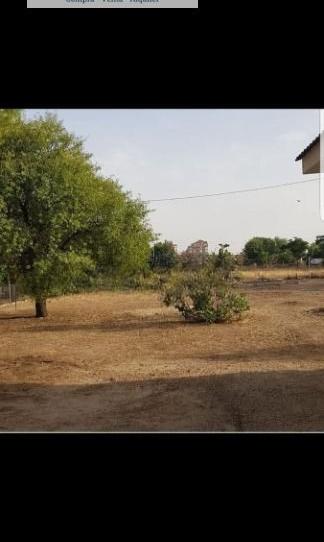 Foto 2 de Finca rústica en venda a Imaginalia - Llanos del Águila, Albacete