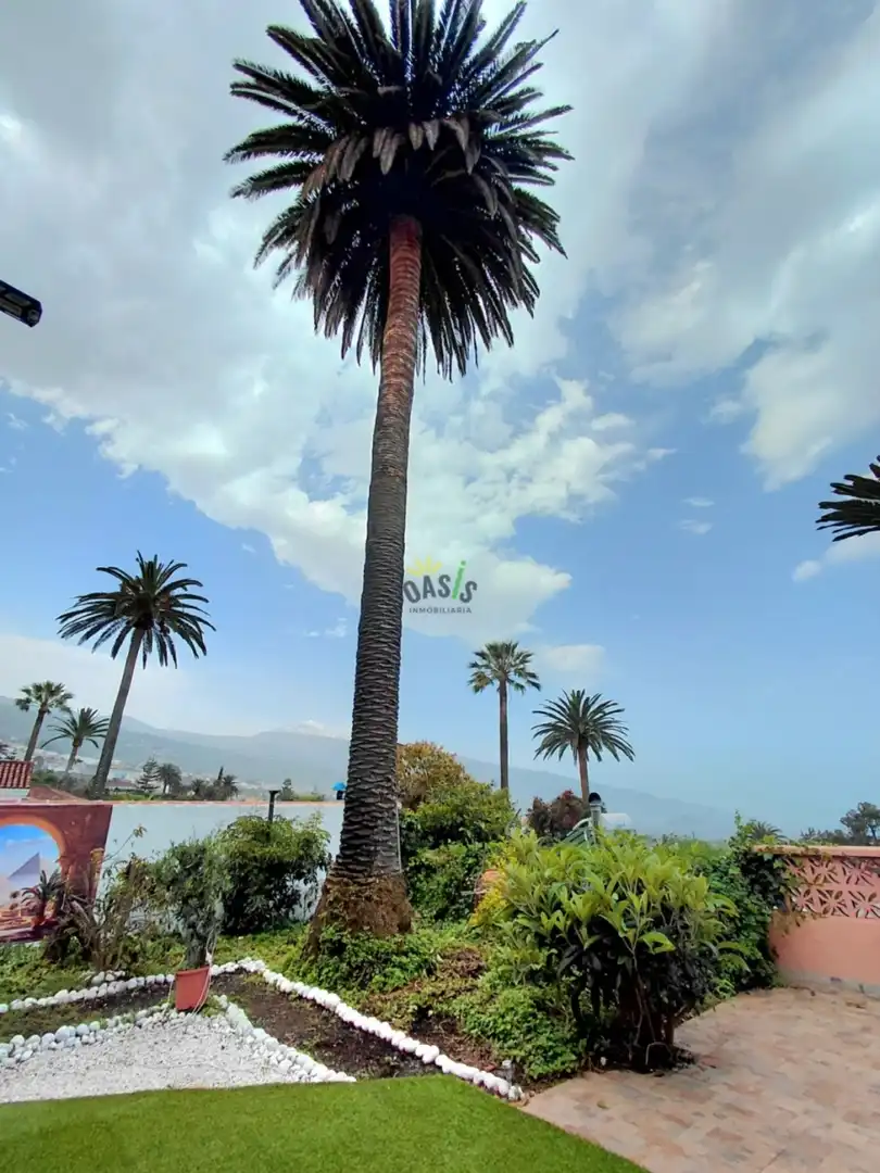 House with pool for sale in Las Cuevas - Los Gómez, imagen 46
