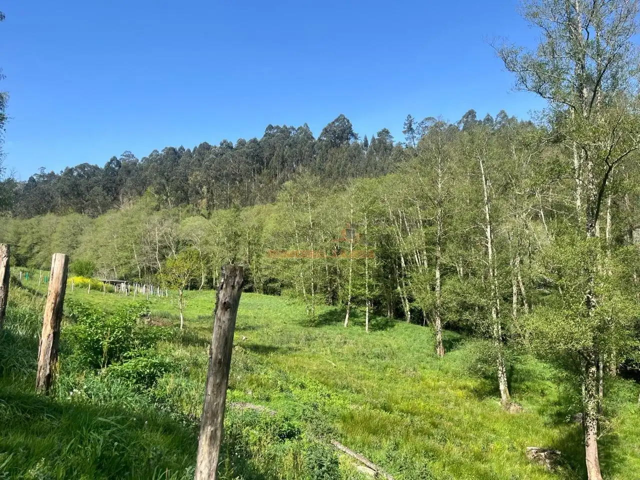 Houses for sale in San Sadurniño  with Heating, Private garden and Swimming Pool