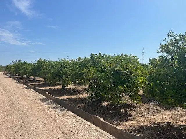 Rural land for sale in Carrer del Pou, imagen 5