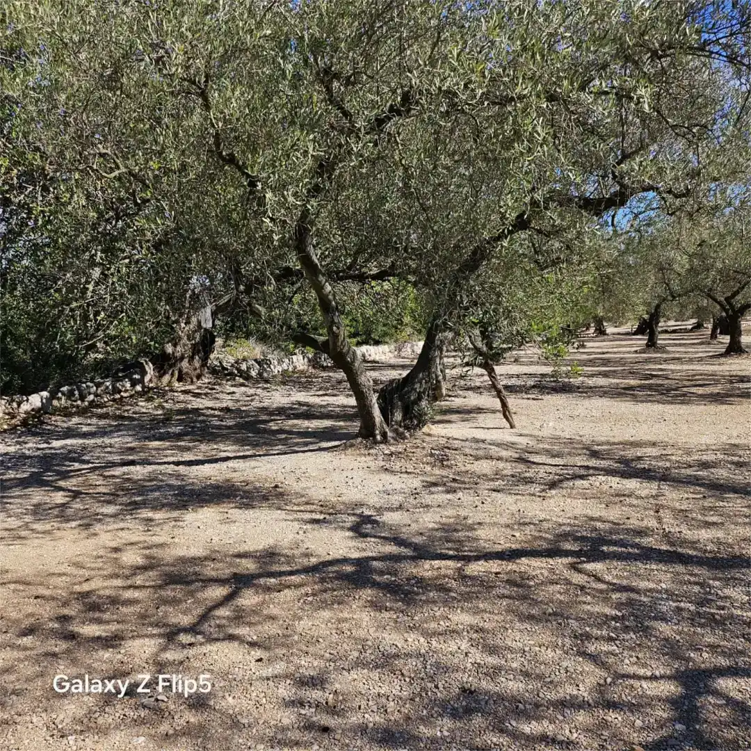 Grundstücke zum Verkauf in La Galera , Tarragona