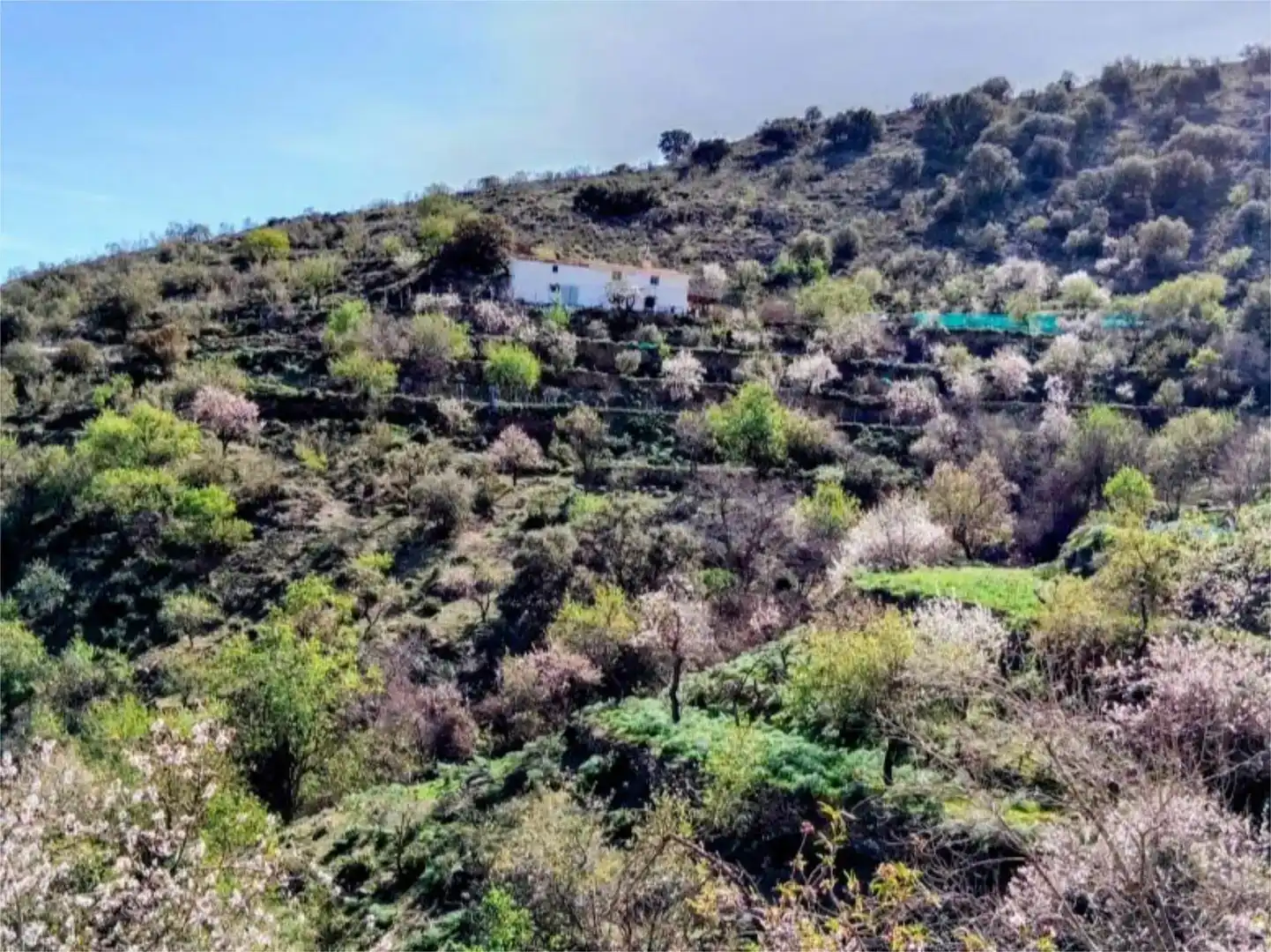 Finca rústica en venda en Alcudia de Monteagud amb Moblat
