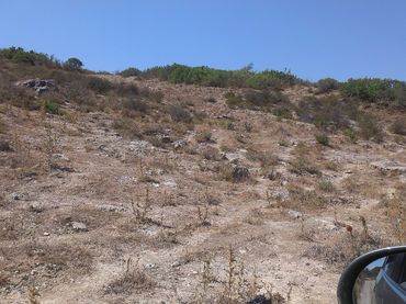 Terreno rustico in vendita a Pelagatos - Pago del Humo