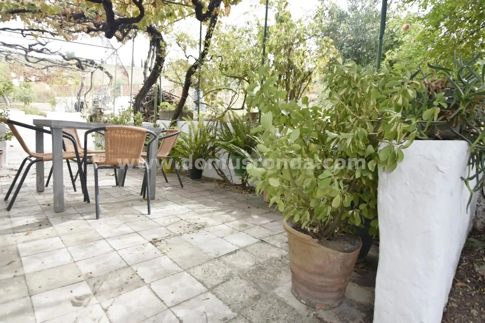 Casa rústica amb piscina en venda a Partidas Norte, imagen 13