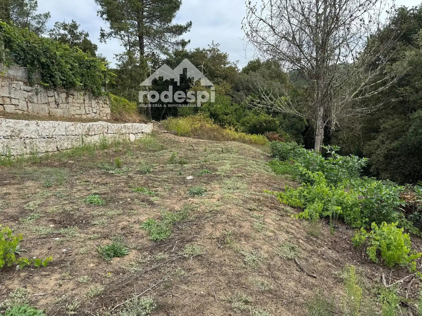 Others for sale in Cortegada, imagen 31