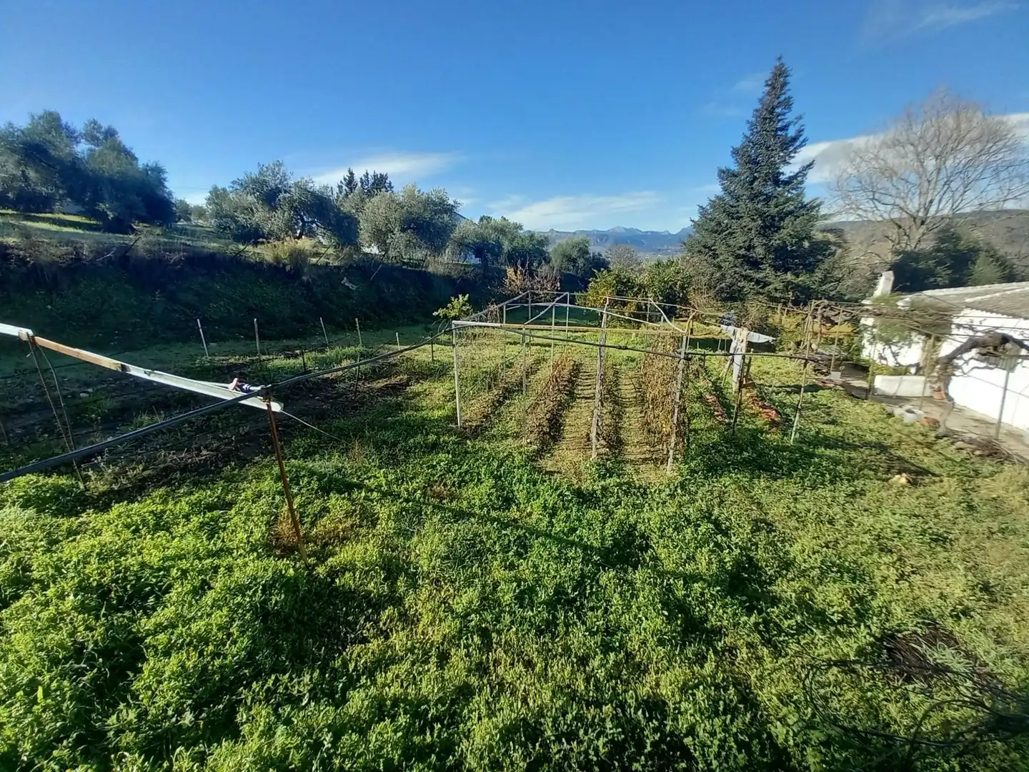 Finca rústica en venda a Partidas Norte