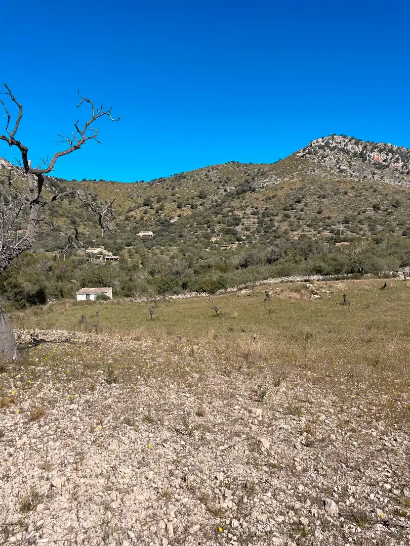Rural land for sale in Sant Llorenç des Cardassar, imagen 8