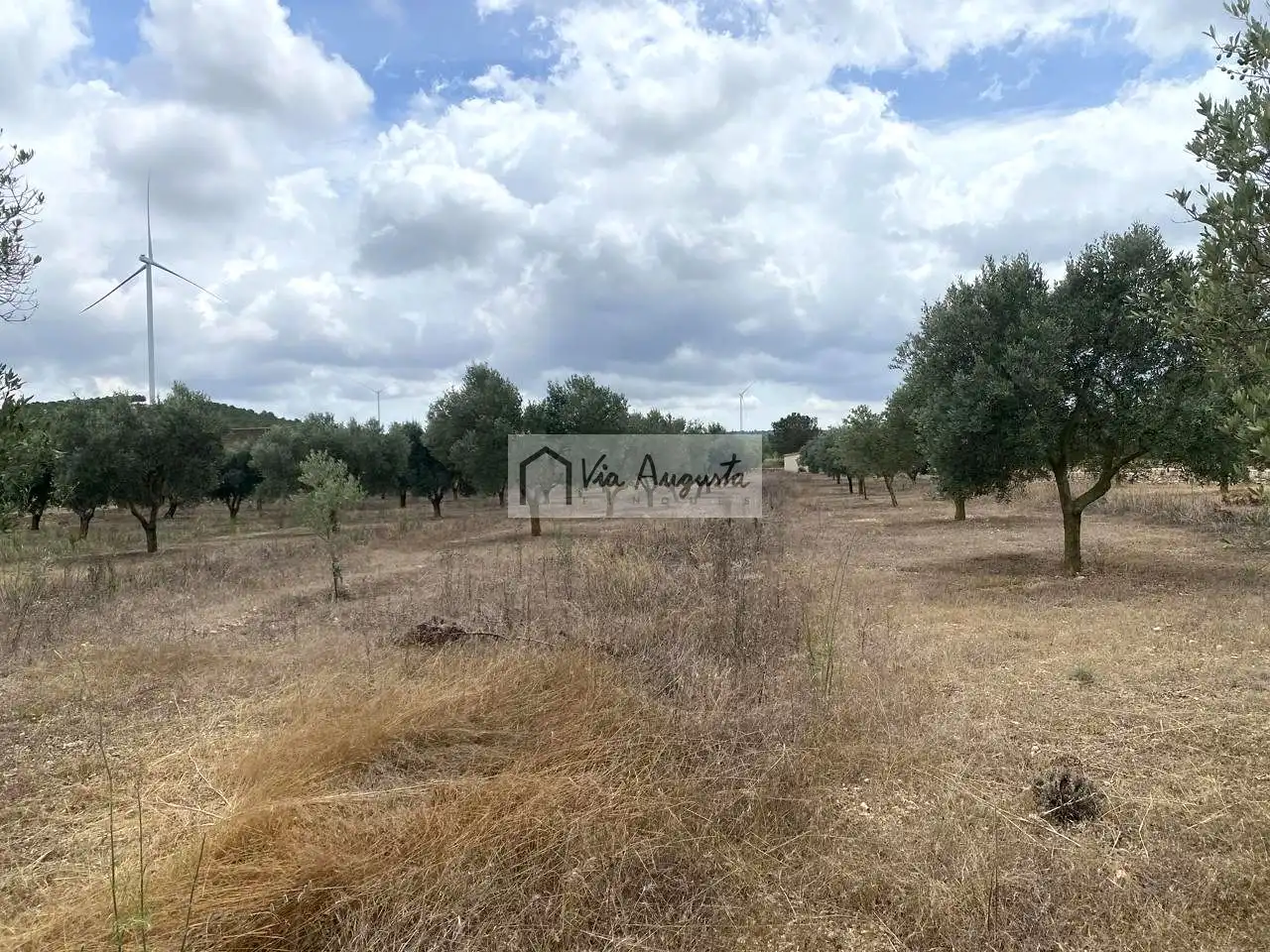 Terreno rustico in vendita a Burga, imagen 12