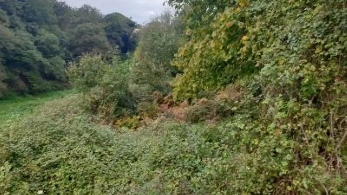 Terreno rustico in vendita a Lugar Carrionina, imagen 6