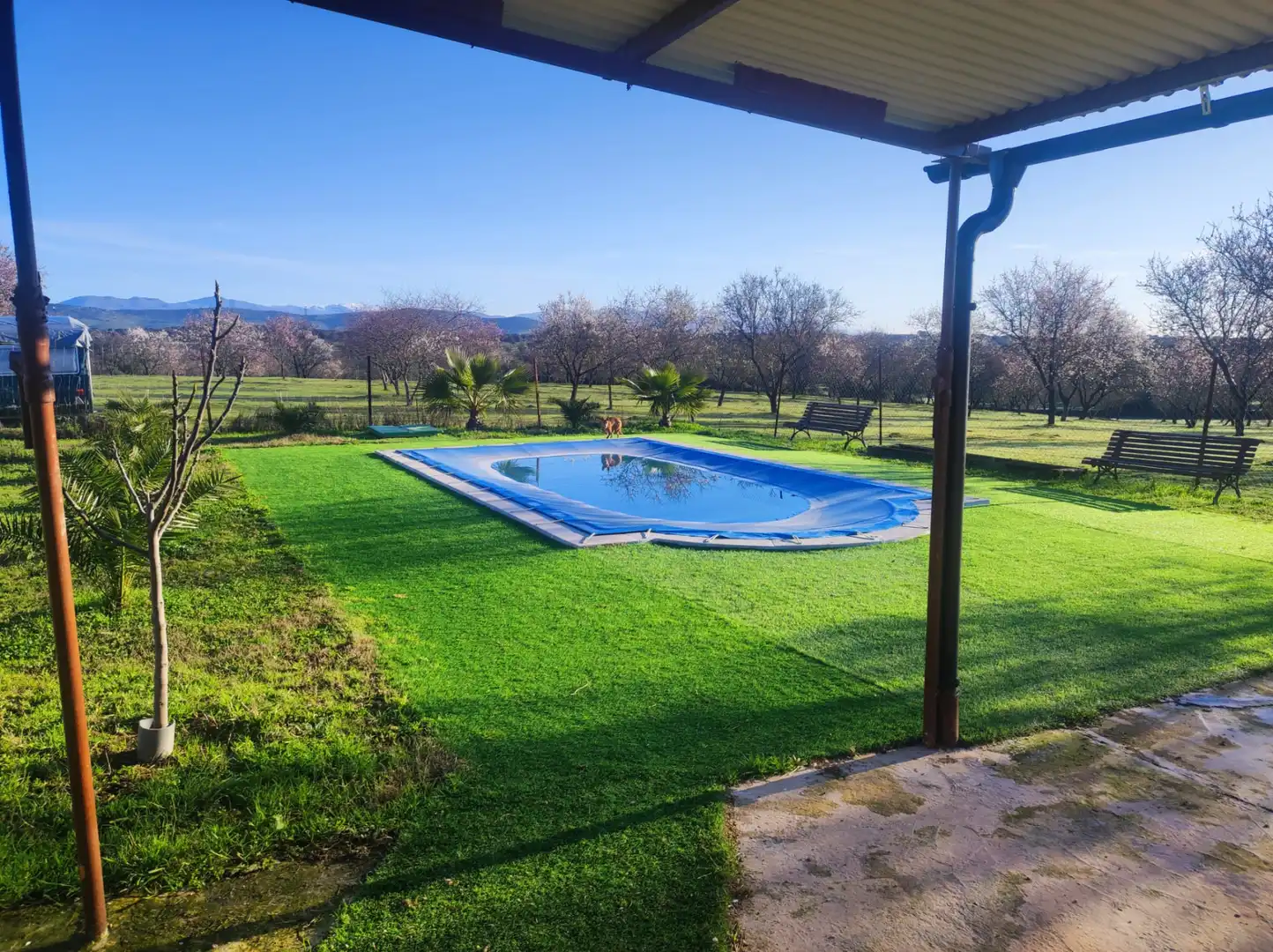 Swimming pool of Land for sale in Malpartida de Plasencia