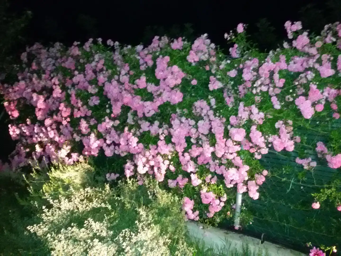 Terrenys i solars en venda a Ullà, imagen 13