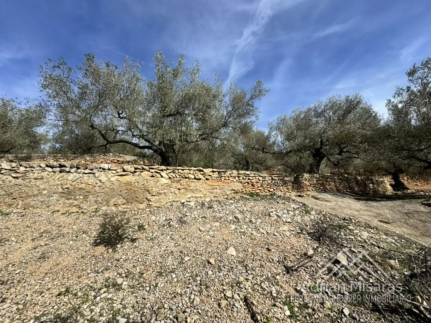 Terreno rústico en venta en L'Aldea, imagen 39