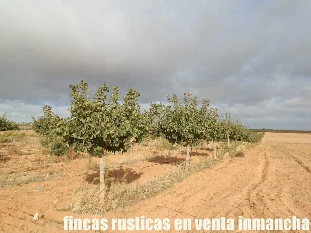 Terreni e lotti in vendita a Las Mesas, imagen 7