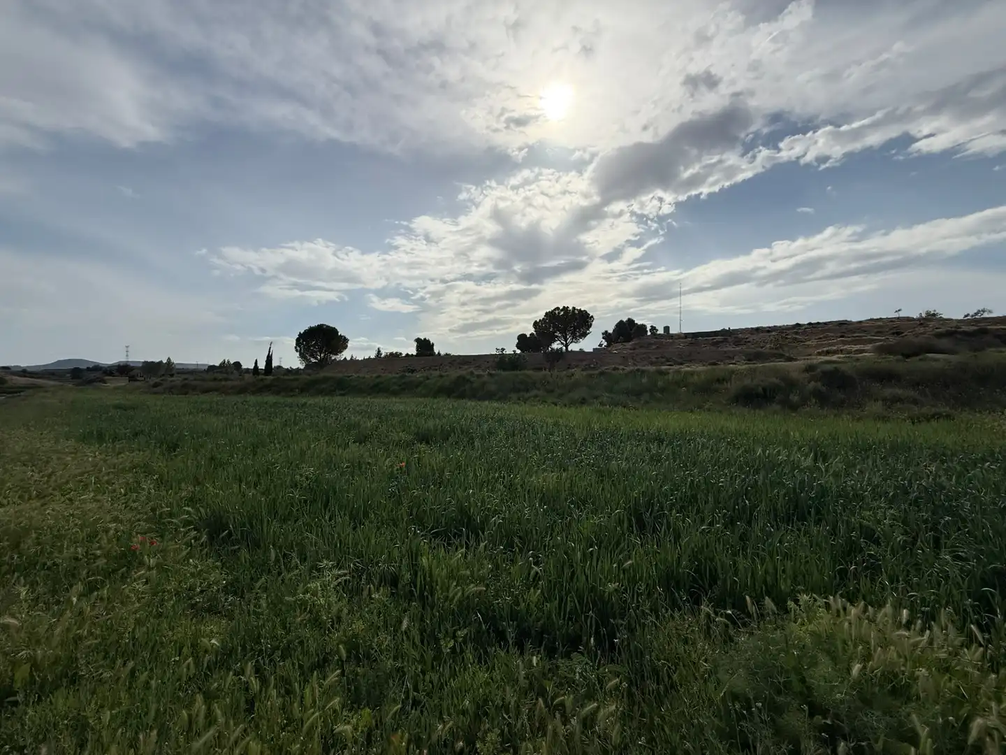 Terreni e lotti in vendita a Camino Capellán, imagen 35