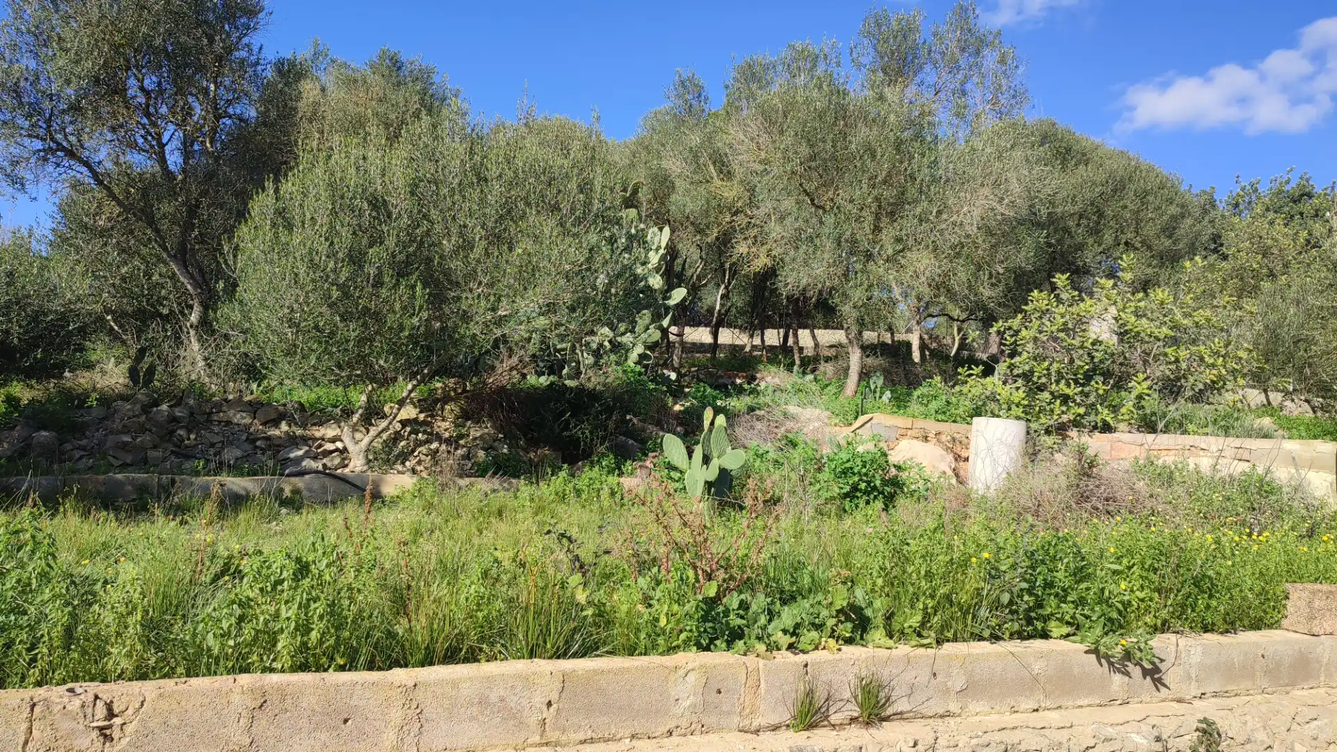 Rural land for sale in Vial Camino 316, imagen 8