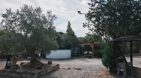 Photo 5 of Houses for sale in Algaida, Illes Balears