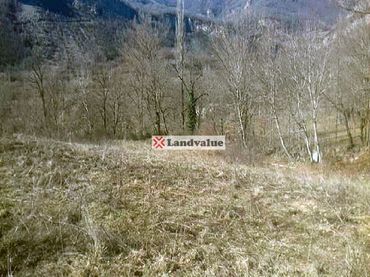 Grundstücke und Bauplätze zum Verkauf in RESIDENCIAL MURUELO