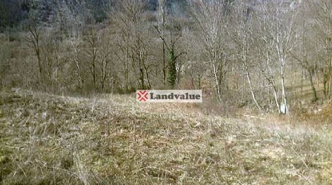 Immagine 1 dell'annuncio
