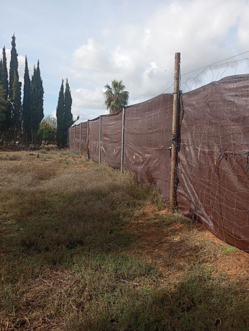 Land for rent in N/A, -1, Pedanías Norte