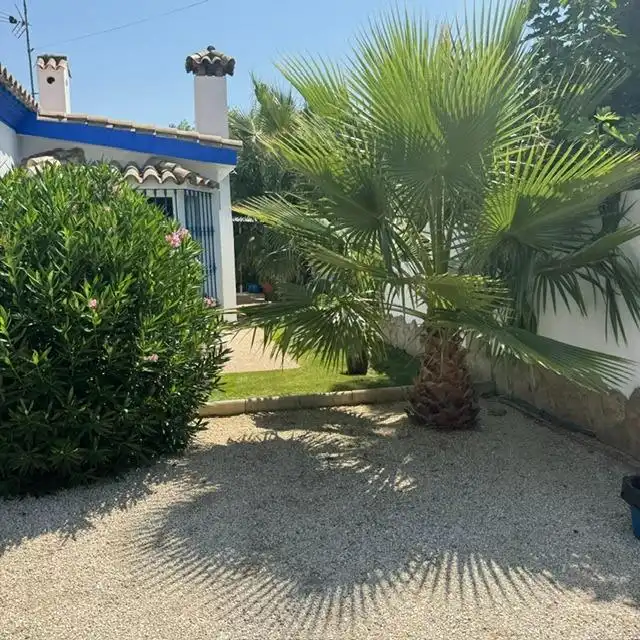 Jardí de Casa o xalet en venda en Chiclana de la Frontera amb Aire condicionat, Calefacció i Jardí privat