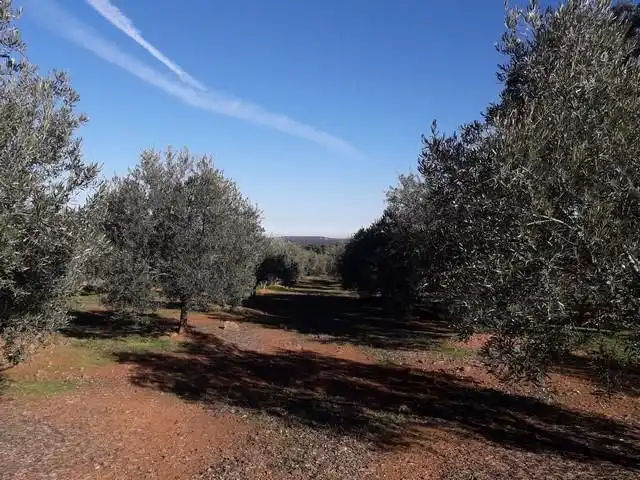 Terreny residencial en venda a Villanueva del Duque, imagen 10