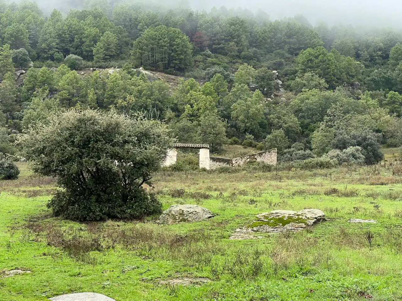 Grundstücke zum Verkauf in Lanzahíta
