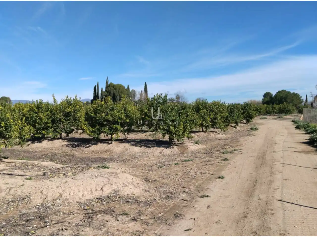 Terreny rústic en venda a Camino Huerta de Abajo, imagen 10