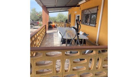 Foto 3 de Finca rústica en venta en Partida Morron, Partidas Norte, Villena