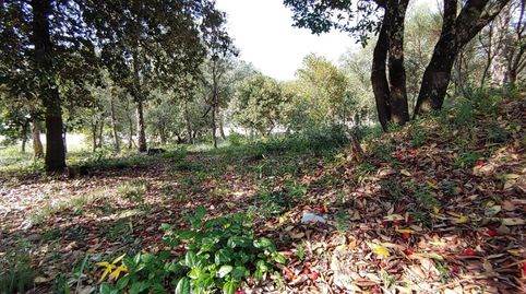 Solar en venta en Bescano., immagine 4