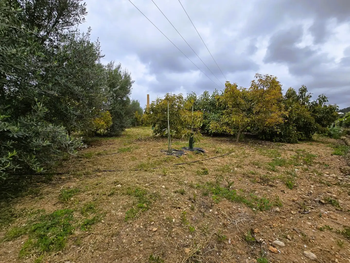 Residencial en venda en Pego