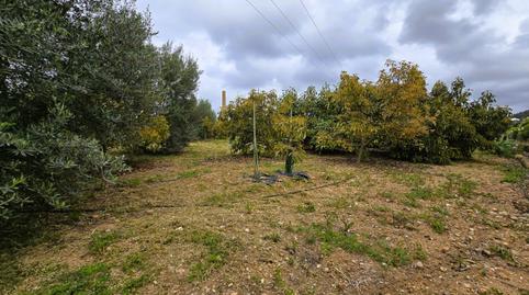 Photo 4 of Residential for sale in Pego, Alicante