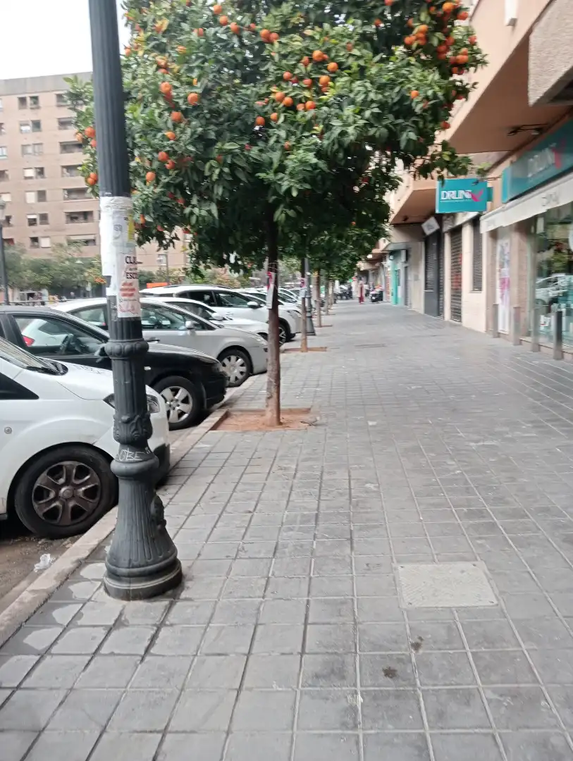 Local comercial en venda a Carrer de l'Explorador Andrés 25, imagen 3