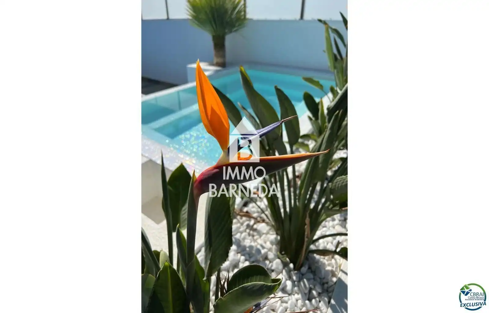 Casa amb piscina en venda a Falconera 24, imagen 10