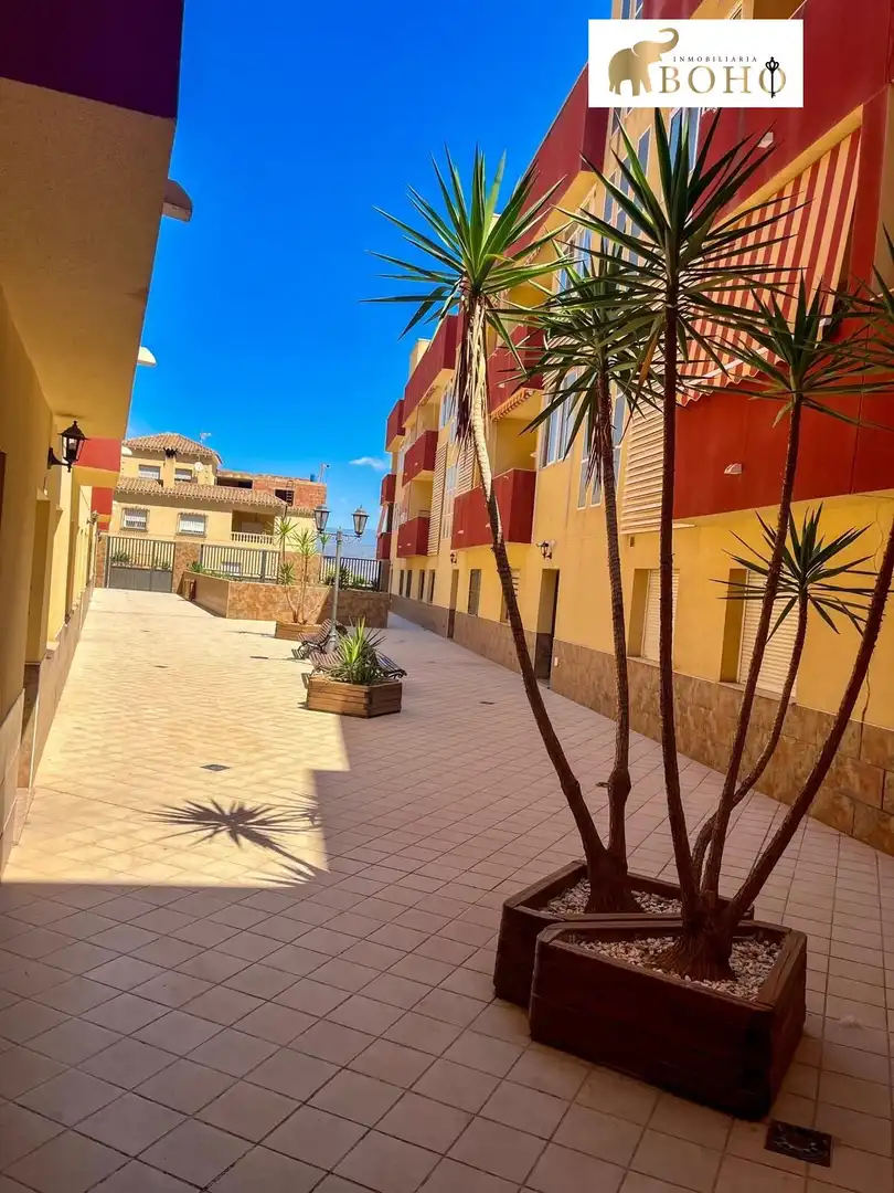 Flat with terrace to rent in Calle CATEDRATICO JOAQUIN RGUEZ 17, imagen 30