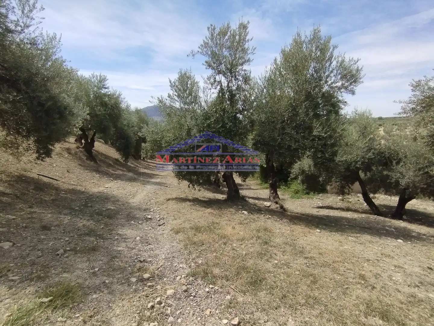 Terreni e lotti in vendita a Quesada, imagen 8