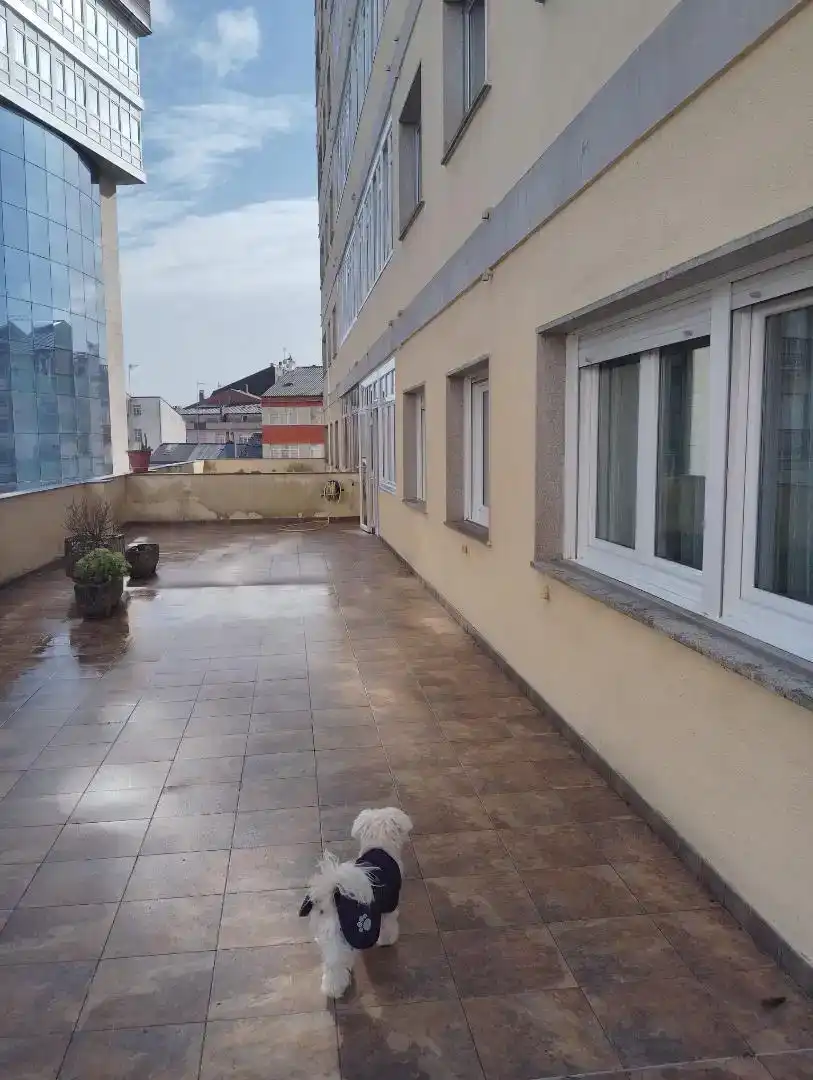 Terrasse von Wohnung zur Miete in Lugo mit Privatgarten, Abstellraum und Möbliert