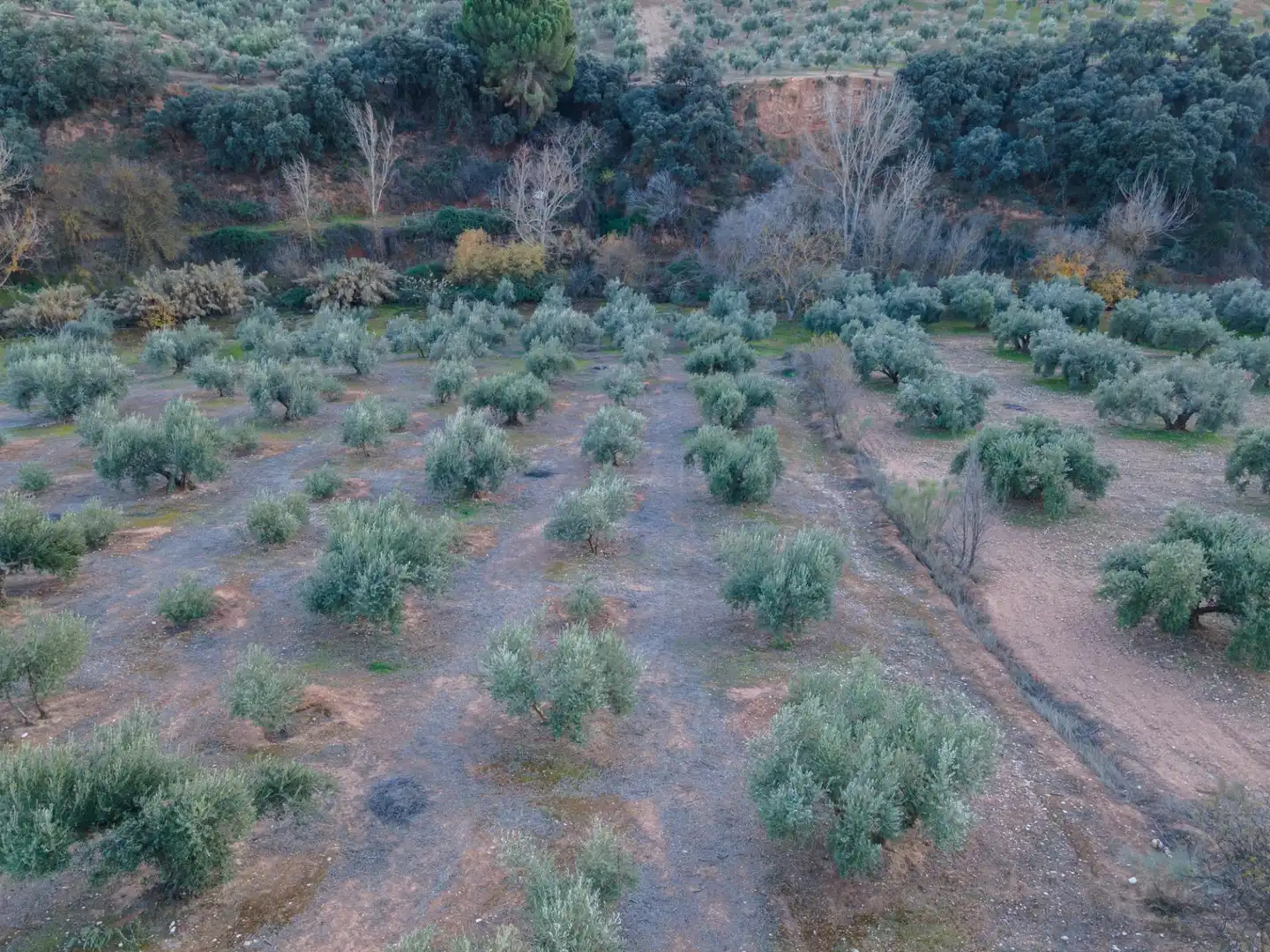 Terreno rustico in vendita a Calicasas, imagen 15