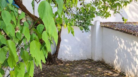 Foto 3 de Casa o xalet en venda a Casco antiguo - Convento - Caldereto, Ubrique