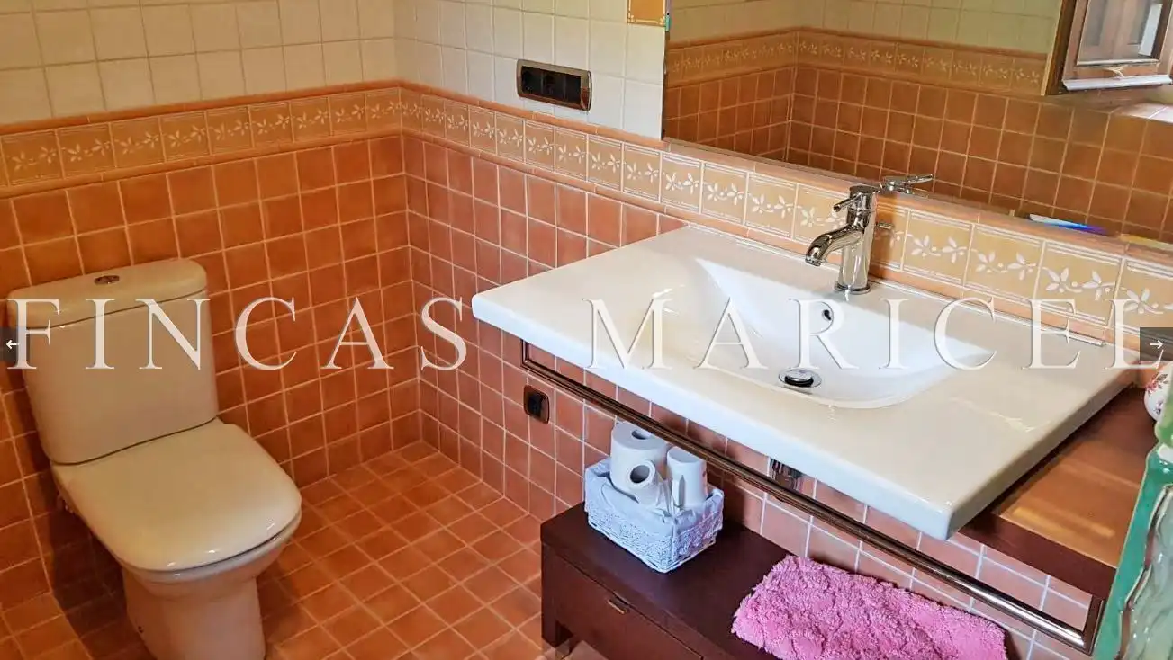 Maison rustique avec jardin à vendre à Pontons, imagen 23