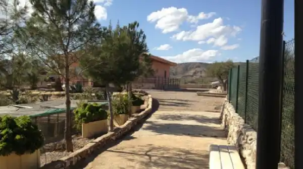 Detached house with pool for sale in Abanilla, imagen 6