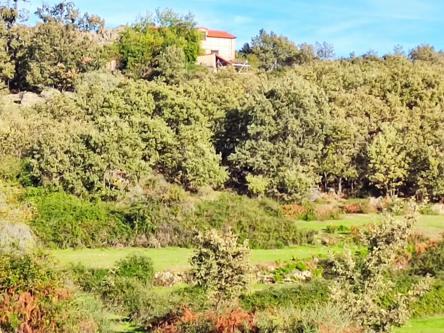 Terreni e lotti in vendita a Jarandilla de la Vera, imagen 36