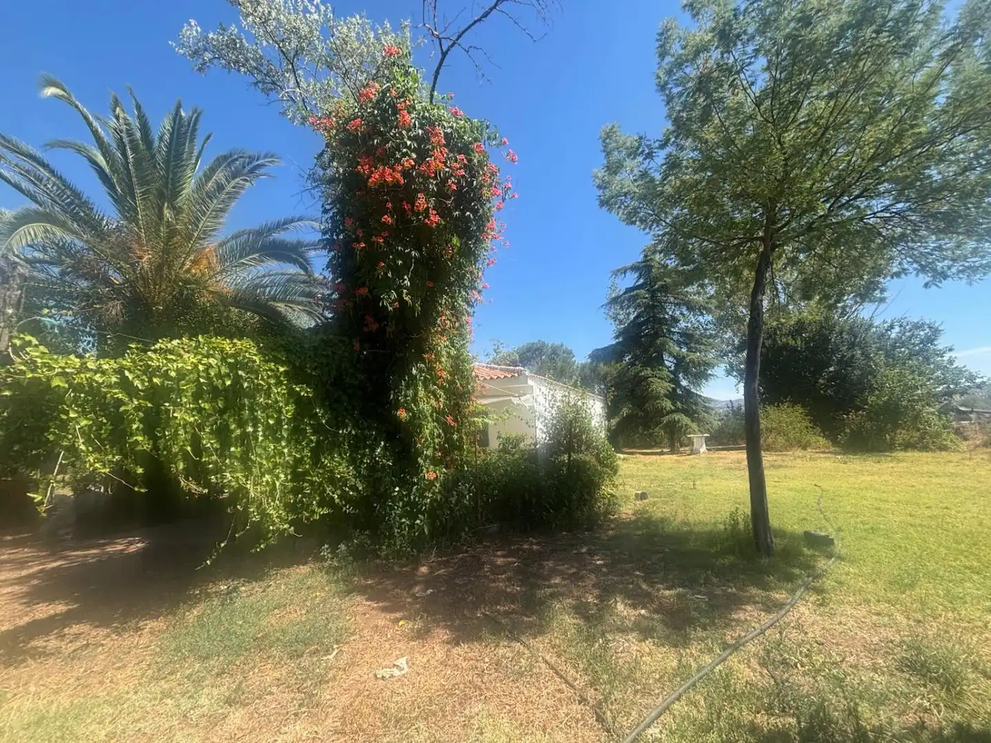 Xalet en venda a Malagón, imagen 10