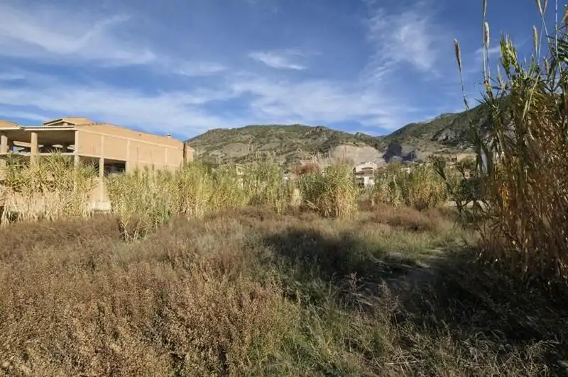 Terrain rustique à vendre à Calle Maestra Encarnación Villaverde, imagen 16