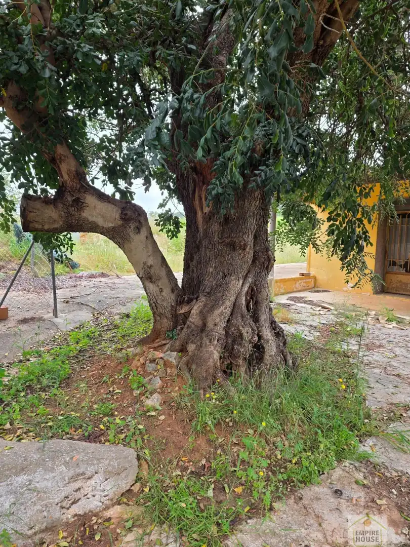 Residencial en venda a Alberic