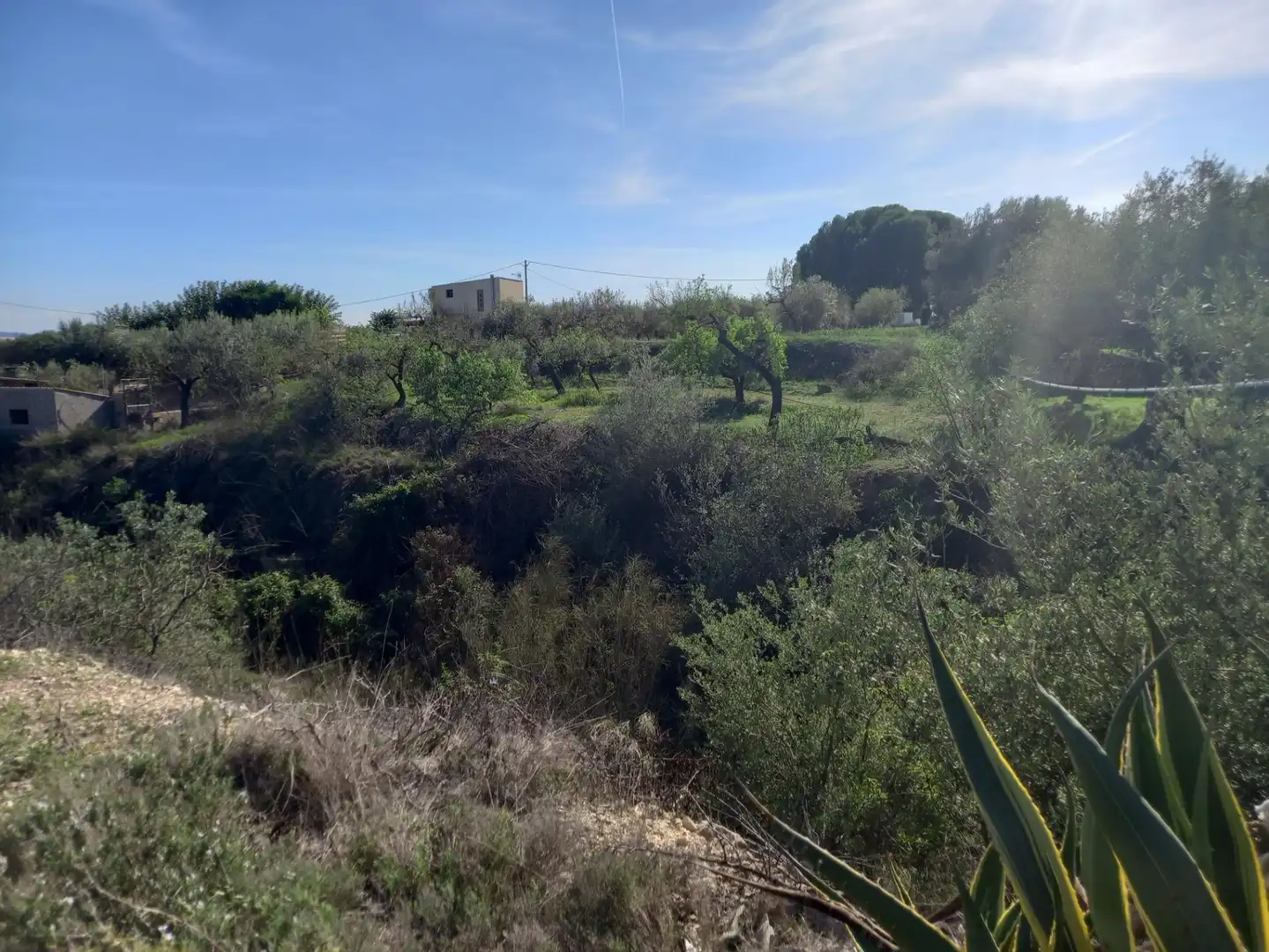 Terreno rústico en venta en Móra d'Ebre, imagen 26
