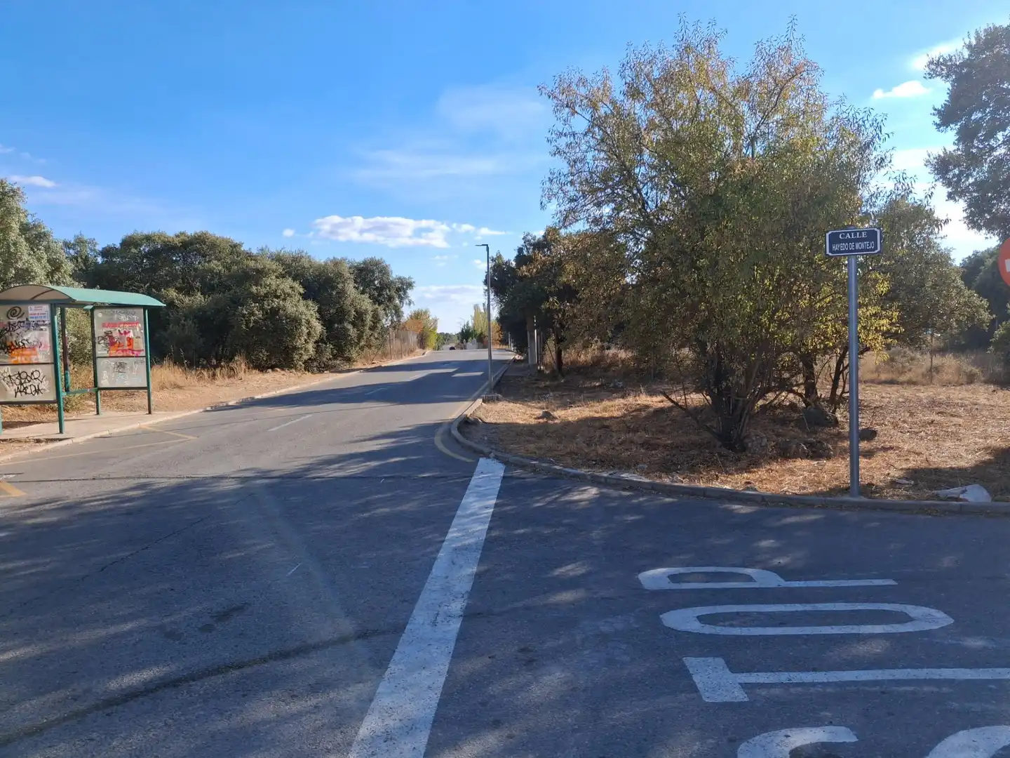 Terreno residencial en venta en Pioz, imagen 6